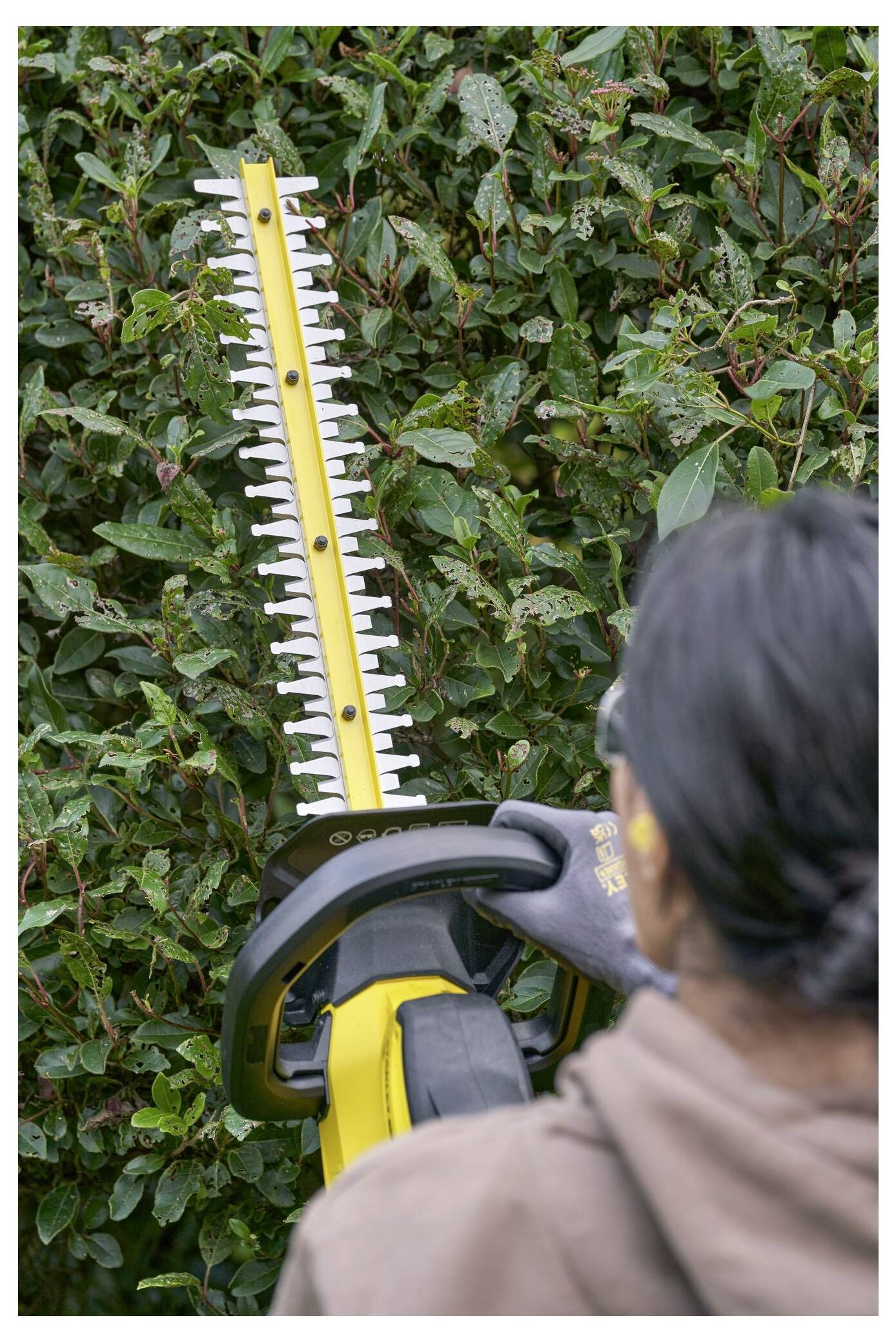 Eine Person mit Handschuhen schneidet eine Hecke mit einer gelben elektrischen Heckenschere.