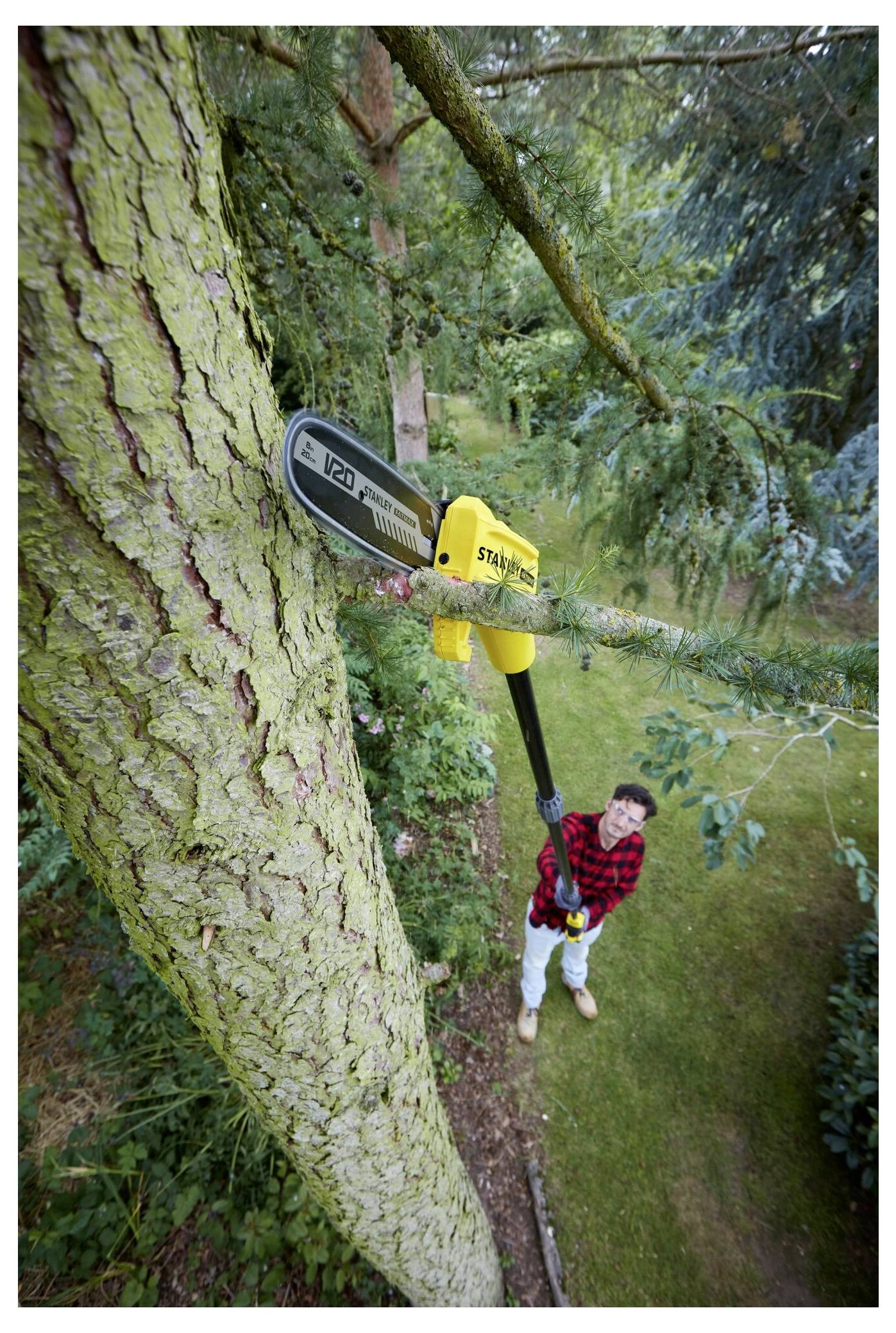 Eine Person in einem roten Karohemd verwendet eine Stangenmotorsäge, um Äste von einem großen Baum in einem üppigen Garten zu schneiden, während sie auf einem grünen Rasen steht.