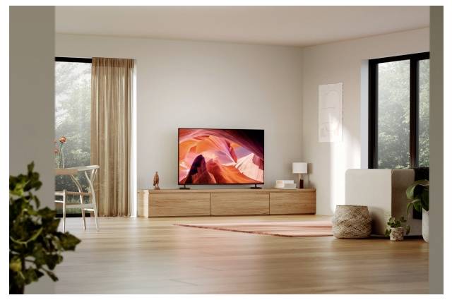 Modernes Wohnzimmer mit einem Fernseher auf einer niedrigen Holzkonsole, hellen Holzböden, großen Fenstern, einem Stuhl, einem Teppich und Topfpflanzen.