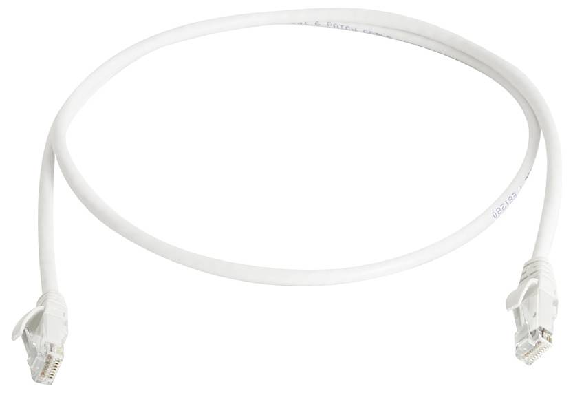 Weißes Ethernet-Netzwerkkabel mit RJ45-Steckern an beiden Enden, aufgewickelt auf einem schlichten weißen Hintergrund.