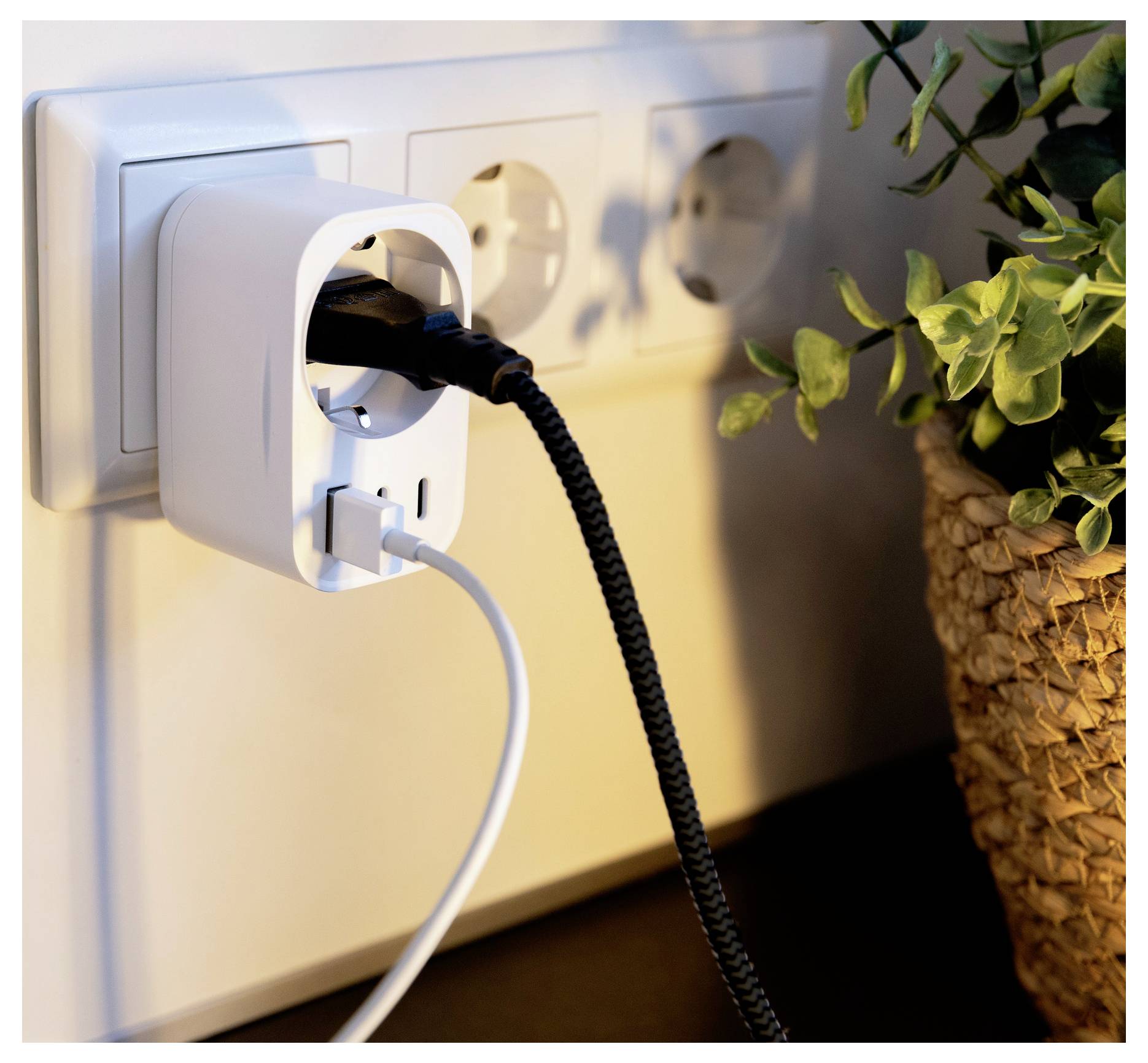 Weiße Wandsteckdose mit einem Steckeradapter und zwei angeschlossenen Kabeln neben einer Topfpflanze, die eine betriebene Ladestation andeutet.