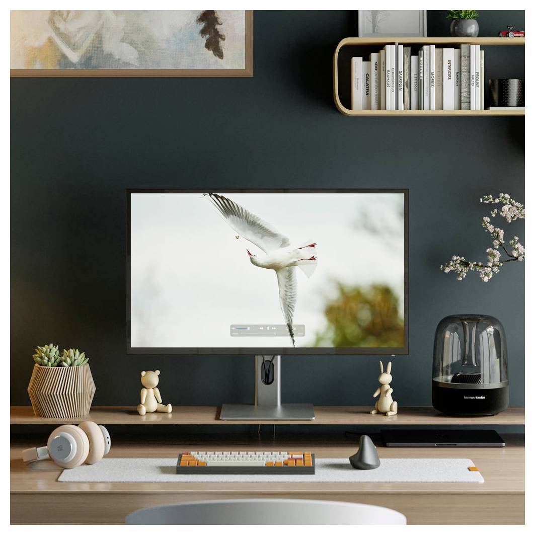 Ein Desktop-Arbeitsbereich mit einem Monitor, auf dem eine fliegende Möwe zu sehen ist, eine Tastatur, Maus, Kopfhörer, Bücher, Pflanzen und kleine Dekorationsgegenstände auf einem Regal und Schreibtisch.