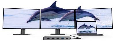 Drei Monitore und ein Laptop-Display zeigen Delfine, die im Meer springen, was auf Mehrbildschirm-Videowiedergabe oder ein erweitertes Display-Setup hindeutet.