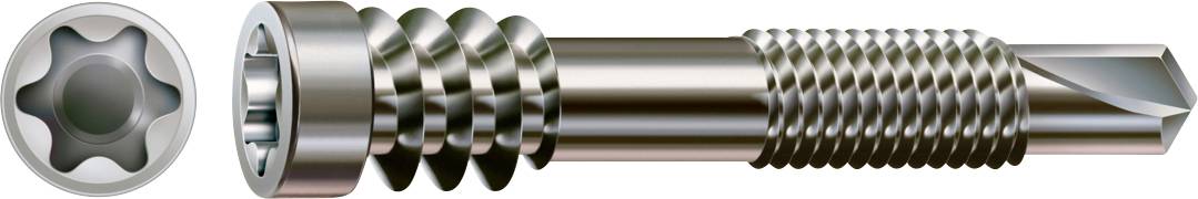 Metallfastener in Nahaufnahme: ein Torx-Schraubenkopf auf der linken Seite und eine entsprechende Gewindeschraube/ein Bolzen auf der rechten Seite.