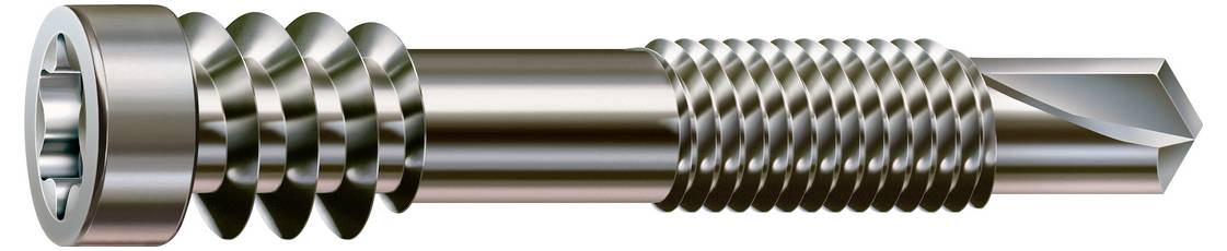 Eine Metallschraube mit zylindrischem Kopf, groben Gewinden an einem Ende, feinen Gewinden am anderen Ende und einer spitzen Spitze.