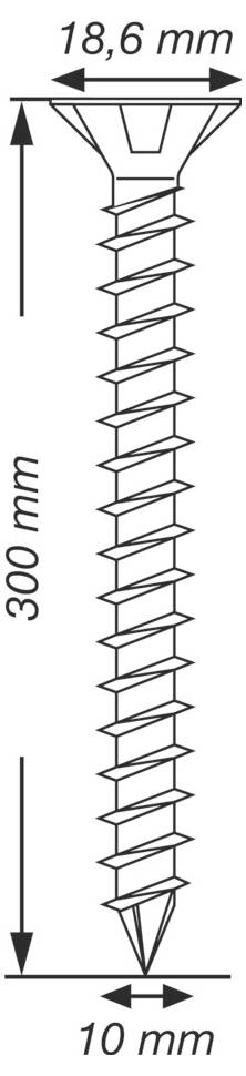 Technische Zeichnung einer Schraube mit beschrifteten Abmessungen: 300 mm Länge, 18,6 mm Kopfbreite und 10 mm Spitzenbreite.