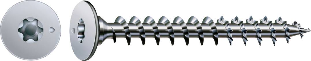 Silberne Torx-Schraube von oben und von der Seite gezeigt, die ihr sternförmiges Antriebsmuster und ihre Gewindewelle hervorhebt.