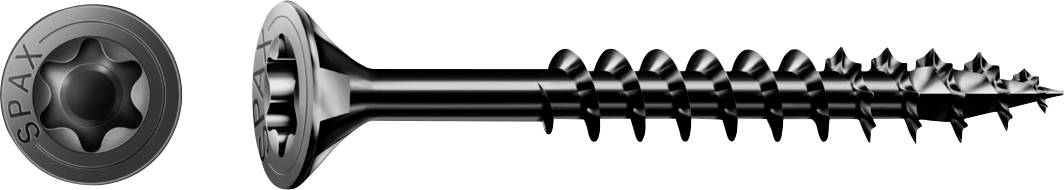 Eine schwarze SPAX-Schraube in Seitenansicht mit einer separaten Nahaufnahme des Torx-Kopfes auf der linken Seite.