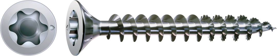 Eine silberne Torx-Schraube in Seitenansicht dargestellt, mit dem sternförmigen Antriebskopf und dem gewindeförmigen Schaft sichtbar.