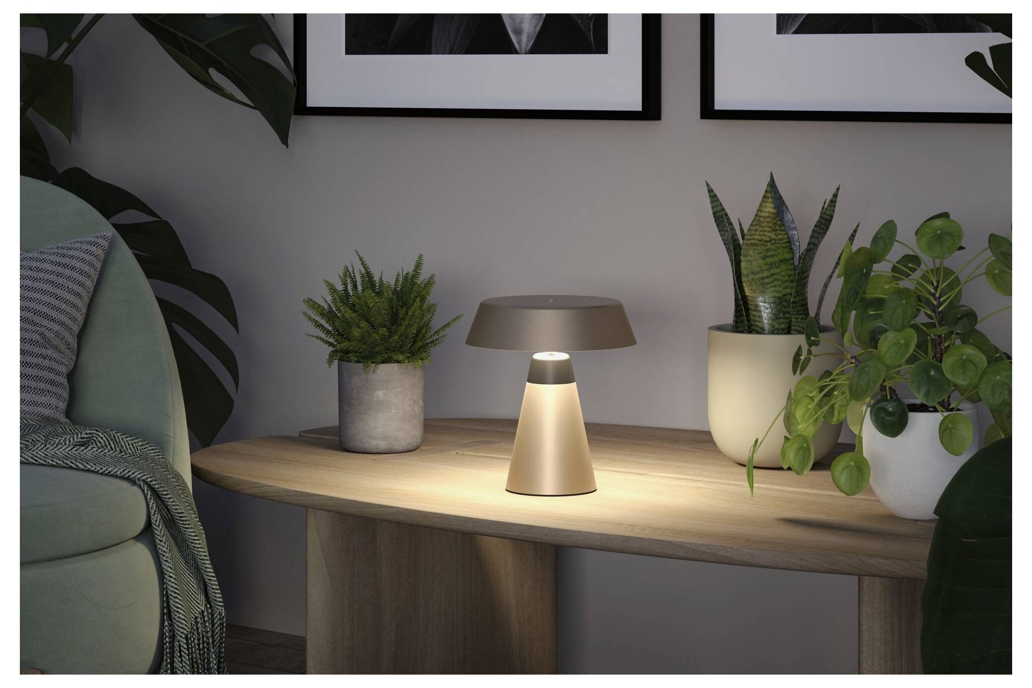 Kleine moderne Tischlampe, die auf einer Holzkonsole zwischen Topfpflanzen in einem gemütlichen Wohnzimmer leuchtet.