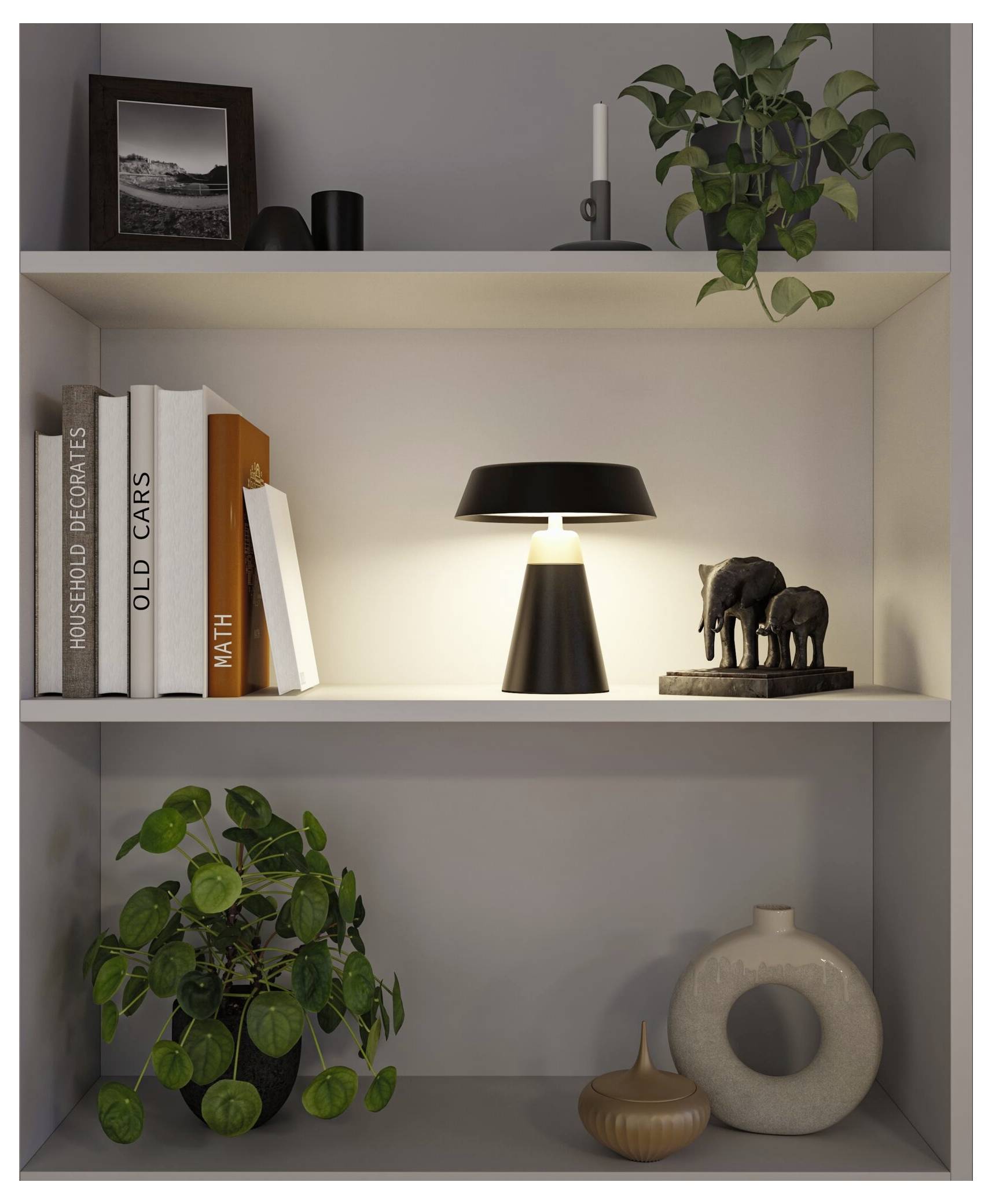 Beleuchtetes Ausstellungsregal mit Büchern, Rahmen-Foto, Lampe, Topfpflanzen und dekorativen Elefanten- und Keramikobjekten.