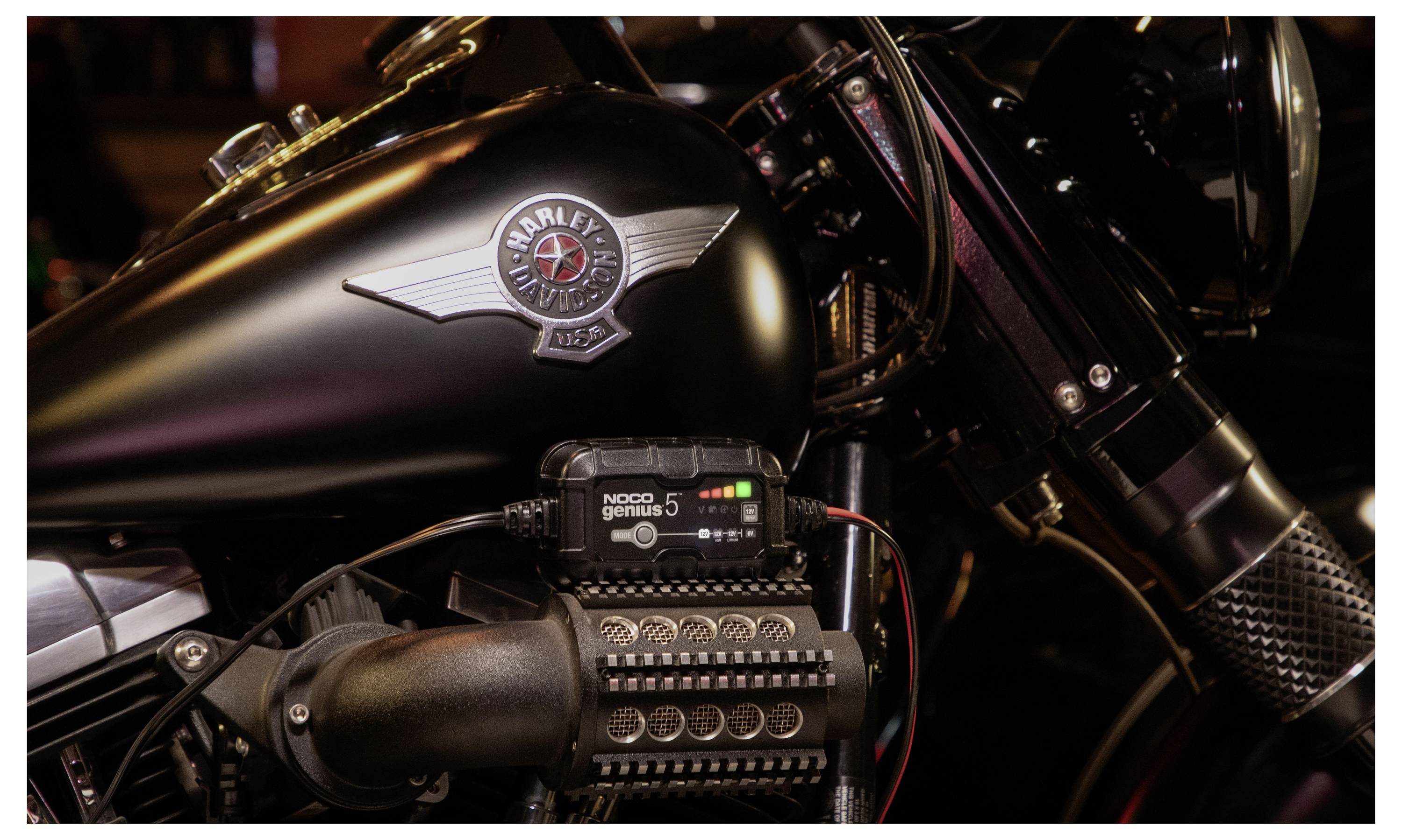 Nahaufnahme eines Harley-Davidson-Motorrads mit Motor und Kraftstofftank, zeigend das Harley-Logo und angebrachte elektronische Zubehöreinheit.