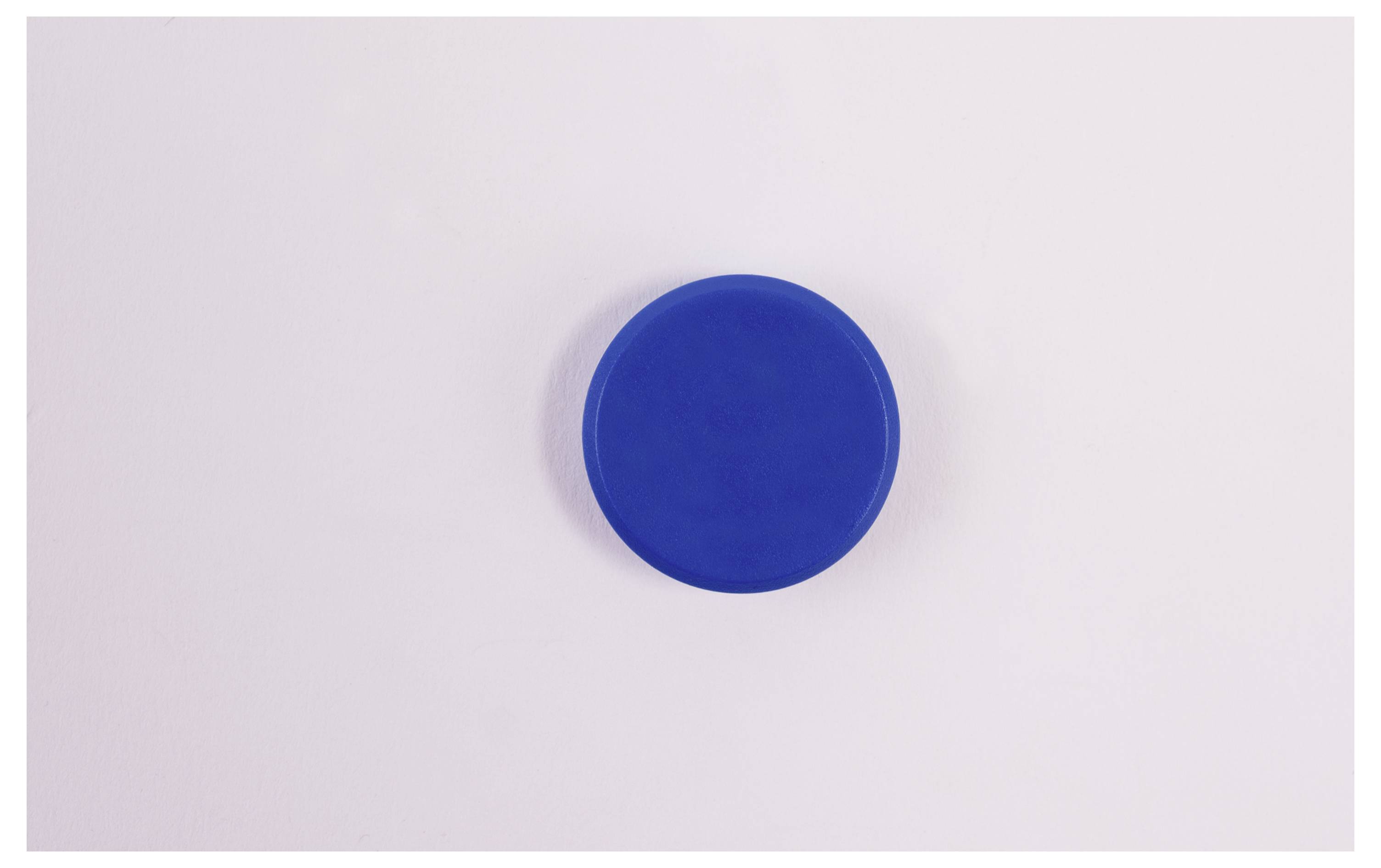 Magnetoplan Magnet Basic Serie (Ø) 24mm rund Blau 10 St. 1862403