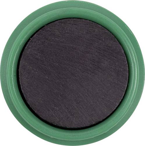 Magnetoplan Magnet Basic Serie (Ø) 24 mm rund Grün 10 St. 1862405