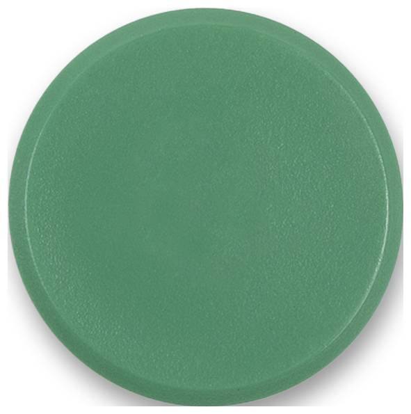 Magnetoplan Magnet Basic Serie (Ø) 24mm rund Grün 10 St. 1862405