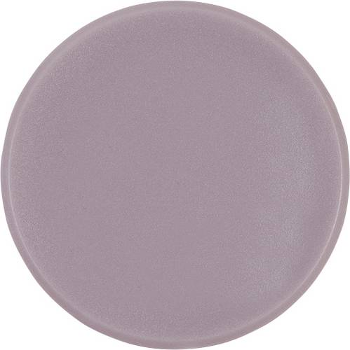 Magnetoplan Magnet Basic Serie (Ø) 24 mm rund Grau 10 St. 1862401