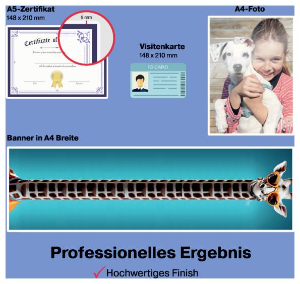 Deutsches Drucklayout zeigt A5-Zertifikat, A4-Foto, Visitenkarte und breites Banner mit Beispielen, mit Text „Professionelles Ergebnis