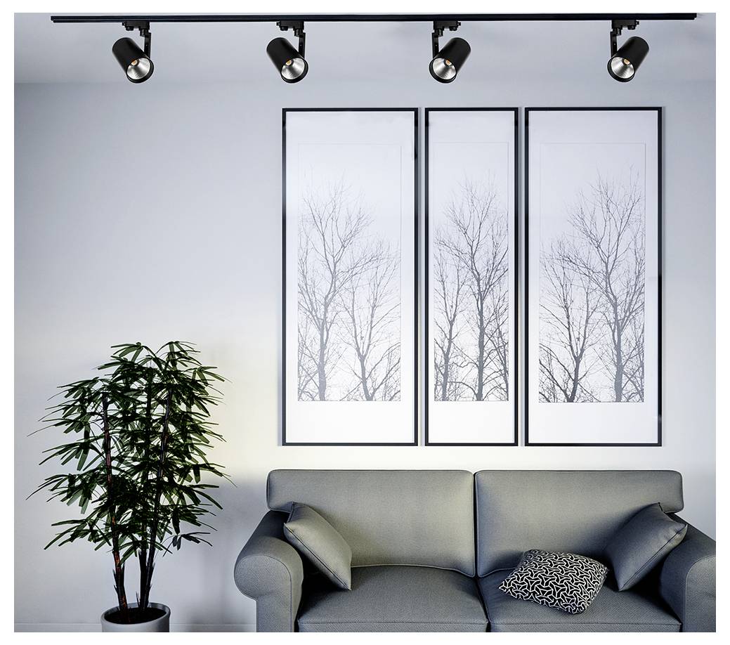 Modernes Wohnzimmer mit grauem Sofa, schwarzen Wurfkissen, einer Topfpflanze und drei gerahmten Baumdrucken unter Schienenstrahler.