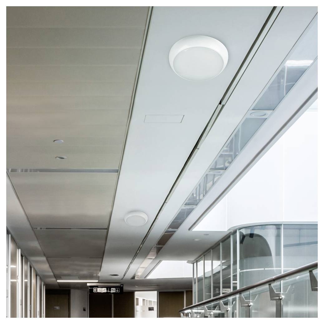 Weiße V-TAC LED-Flutlichter mit Wasser, das darüber spritzt, gekennzeichnet mit 'IP65-Schutzart' und 'Staub- und wasserdicht (strahlwasserfest)'.