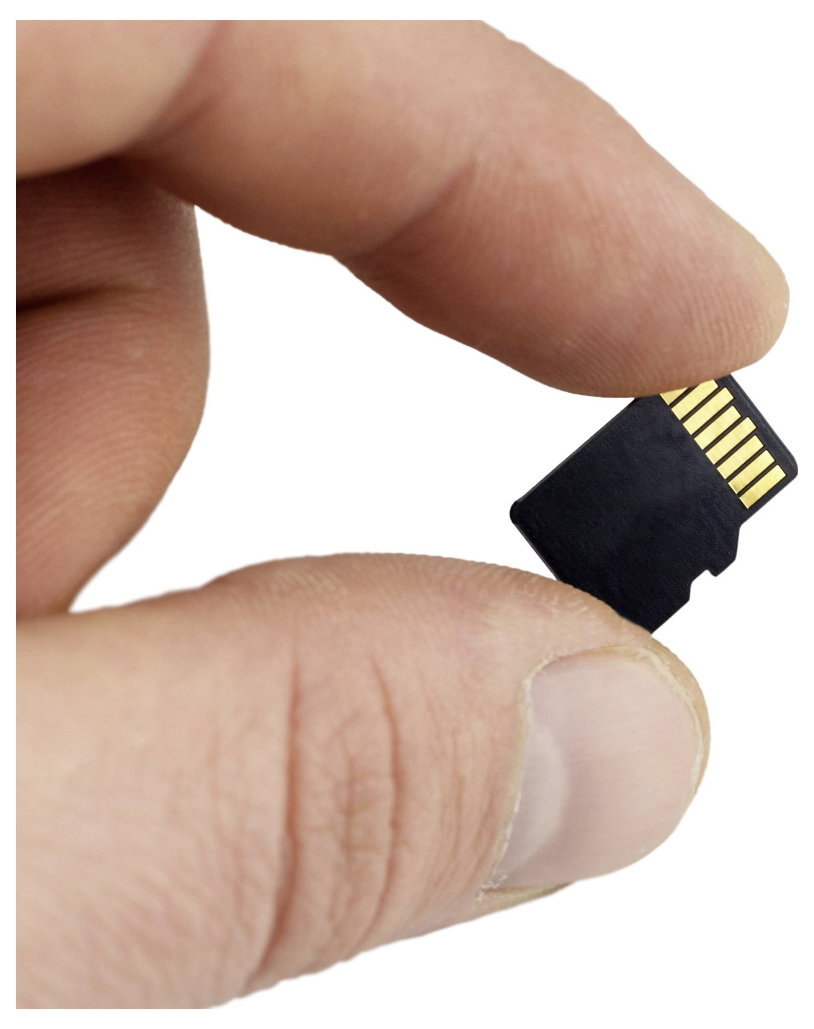 Hand, die eine microSD-Speicherkarte gegen einen weißen Hintergrund hält.