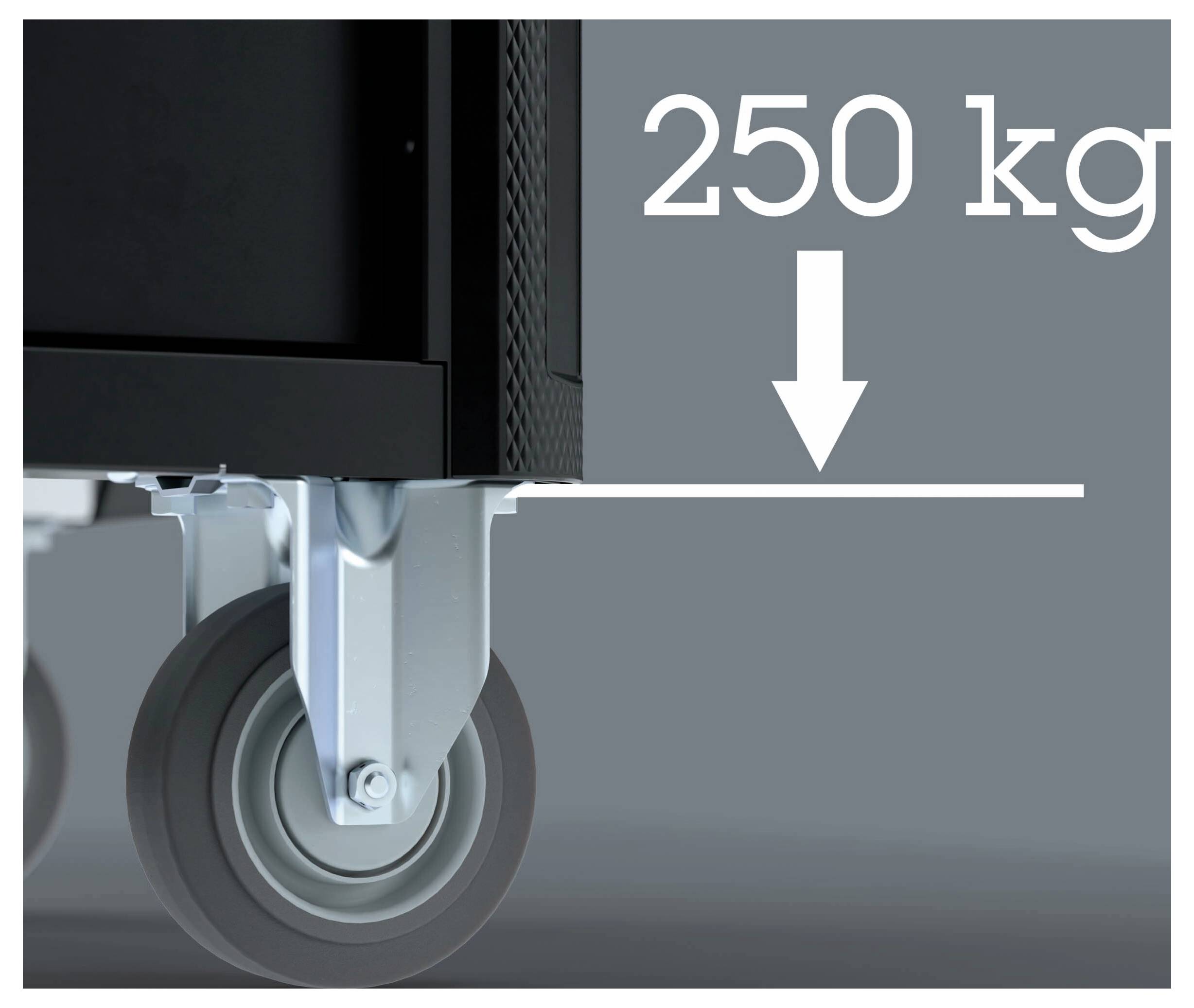 Lenkrolle mit einer Last von „250 kg