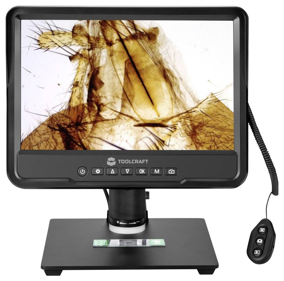 Digitalmikroskop mit LCD-Bildschirm, das eine vergrößerte Nahaufnahme eines braunen Objekts oder Insektenfragments auf weißem Hintergrund zeigt.