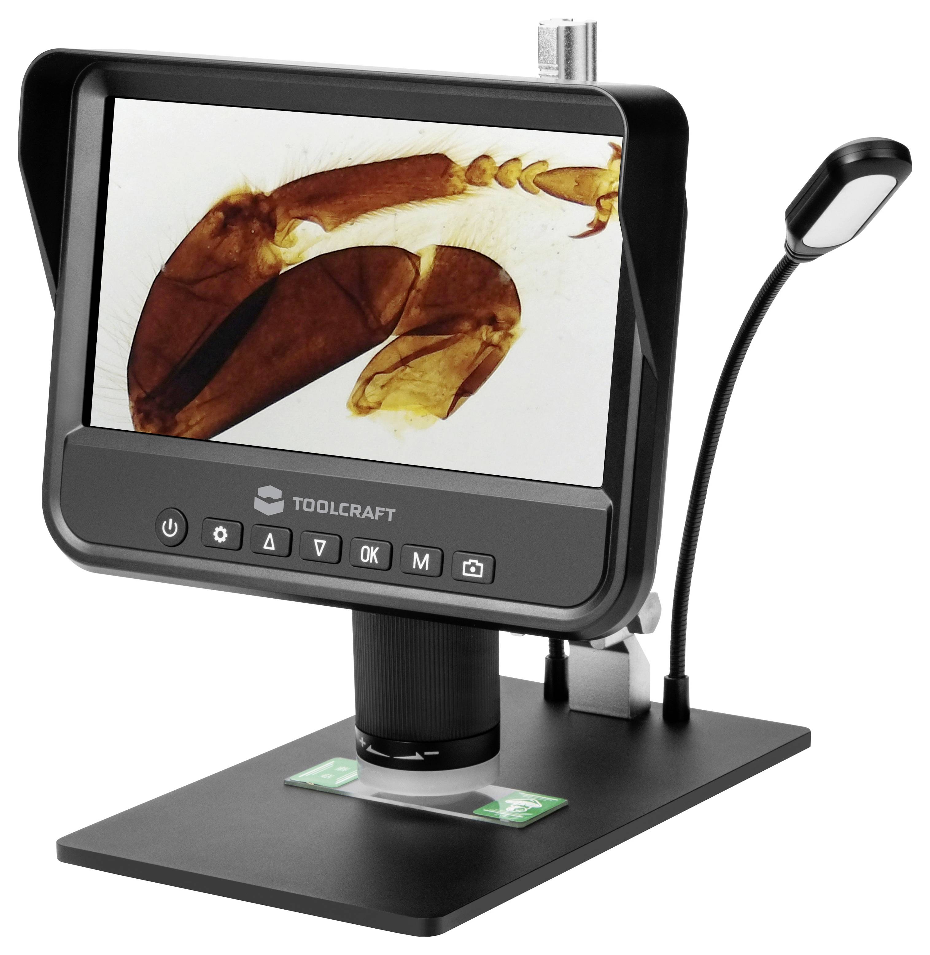 Digitales Mikroskop auf einem Ständer, das ein vergrößertes Insektenpräparat auf seinem Bildschirm zeigt, mit flexibler LED-Schwanenhalsleuchte und Basisplattform.