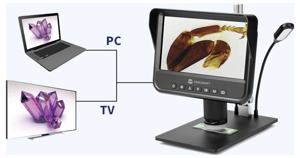 Ein digitales Mikroskop, das mit PC und Fernseher verbunden ist, zeigt ein Präparat auf seinem Bildschirm und ermöglicht gleichzeitiges Betrachten auf beiden Geräten.