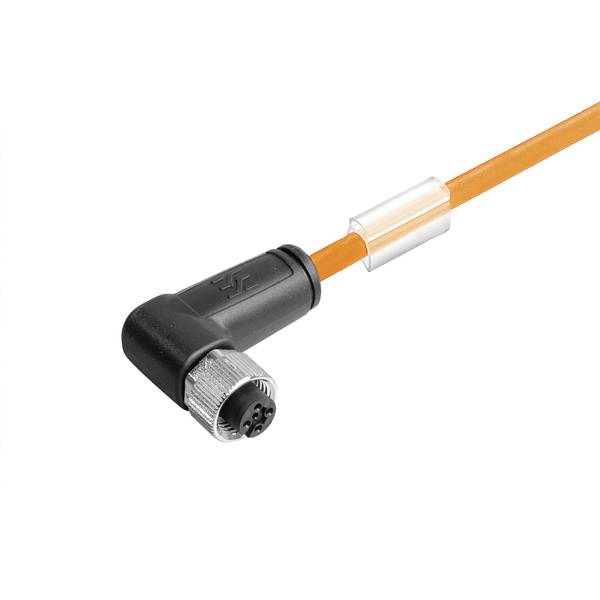 Ein aufgerolltes graues Kabel mit einem schwarzen Stecker an einem Ende und einer kleinen Stiftleiste am anderen Ende, gezeigt auf weißem Hintergrund.