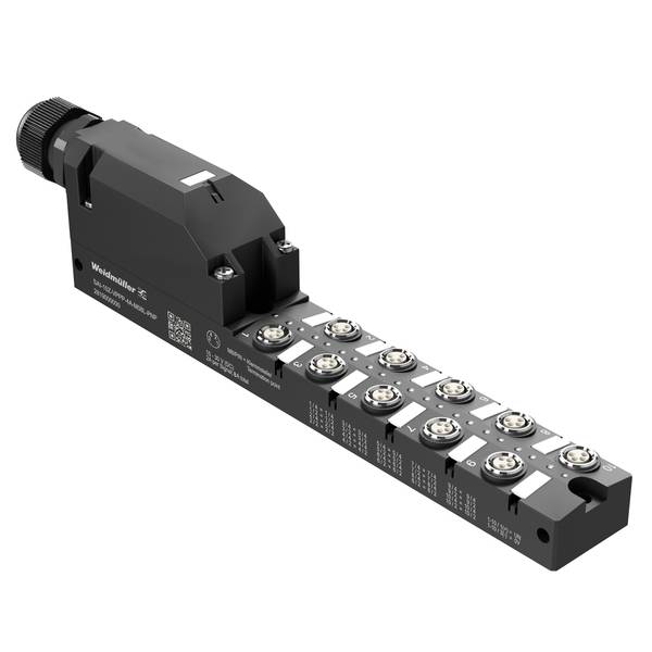 Rotes Ethernet-Netzwerkkabel mit RJ45-Steckern an beiden Enden, aufgerollt auf weißem Hintergrund.