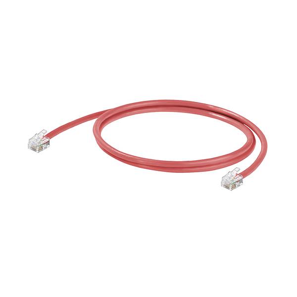 Rotes Ethernet-Kabel mit RJ45-Steckern an beiden Enden, aufgerollt auf weißem Hintergrund.