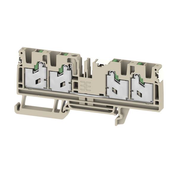 Schnittansicht eines mehrkammerigen Elektrosteckers oder Klemmenblocks mit vier Metallfedern als Kontakte in einem beigen Kunststoffgehäuse.