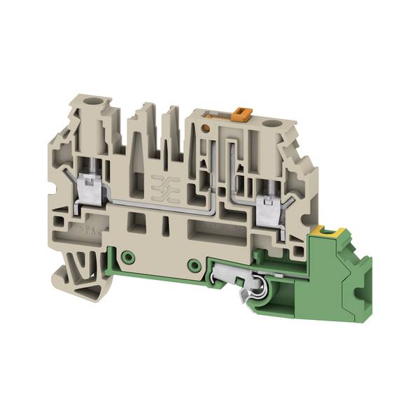 Schnittansicht eines Elektroklemmenblocks mit beigefarbenem Gehäuse, grüner Grundplatte und internen Metallfedern-Kontakten in Querschnittansicht dargestellt.
