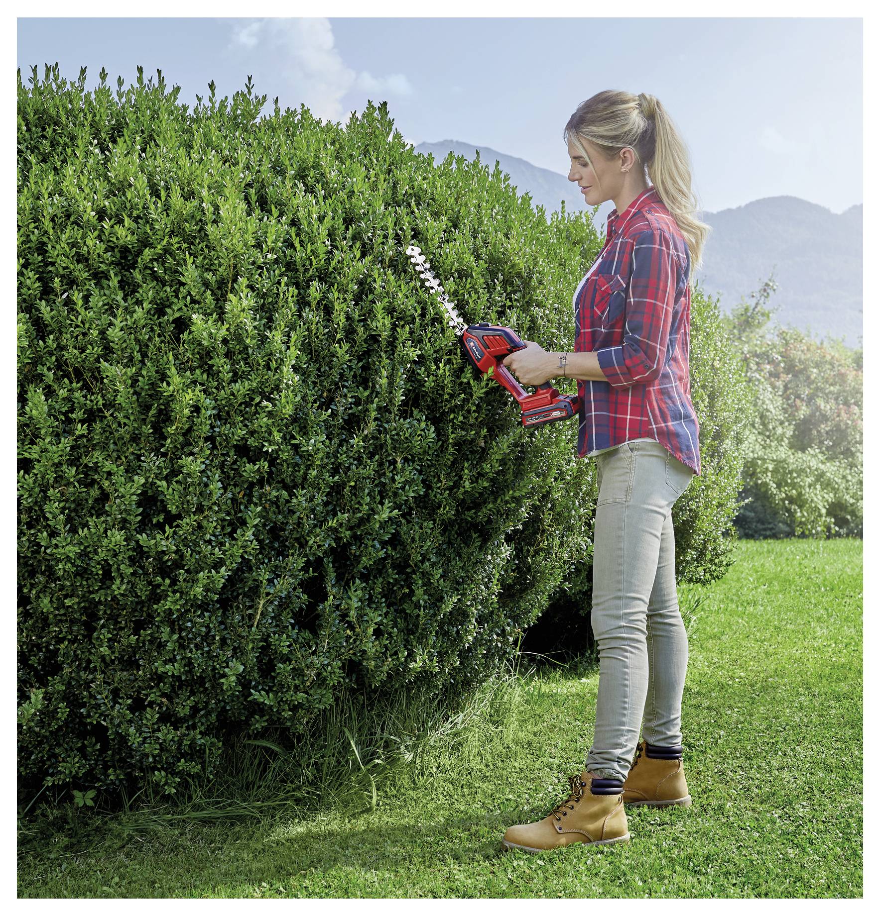 Frau trimmt eine große Hecke mit einer roten elektrischen Heckenschere an einem sonnigen Tag im Garten.