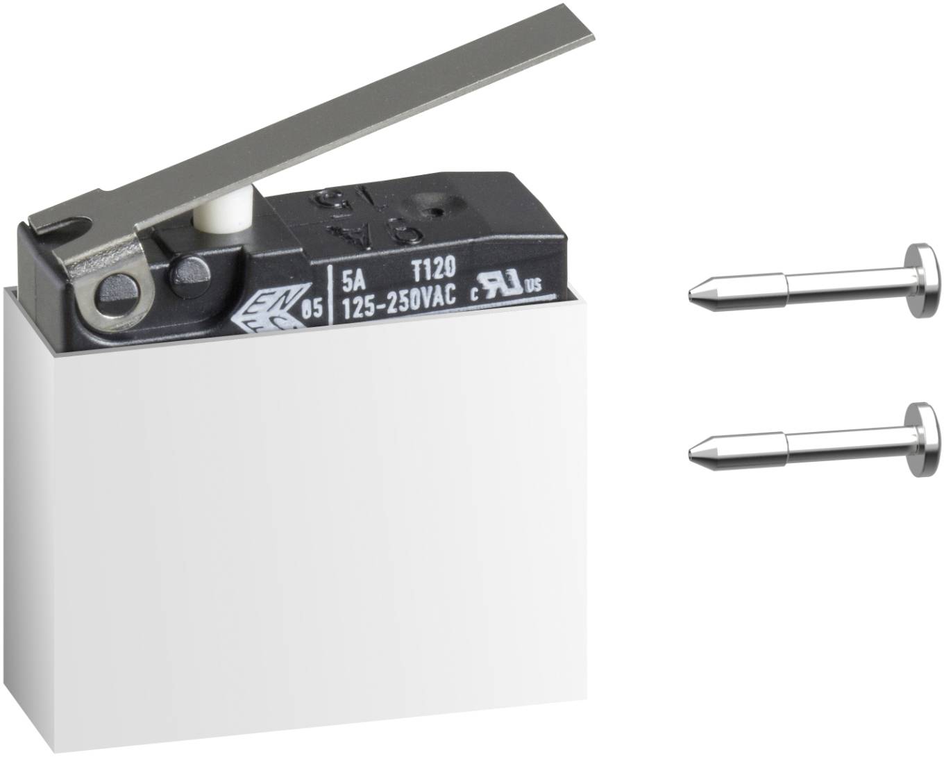 Elektroschalter mit Metallhebel, dargestellt neben zwei Befestigungsschrauben auf weißem Hintergrund.