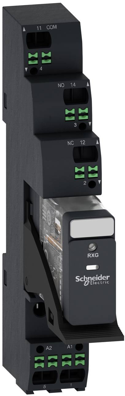 Schneider Electric RXG-Steckrelaismodul mit nummerierten Anschlüssen und Anzeigeschfenstern, Frontansicht auf weißem Hintergrund.