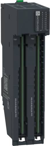 Schneider Electric NTSDDO1602XH Erweiterungsmodul