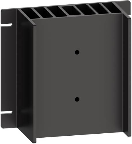 Schneider Electric SSP1HP06 Kühlkörper 1 St.