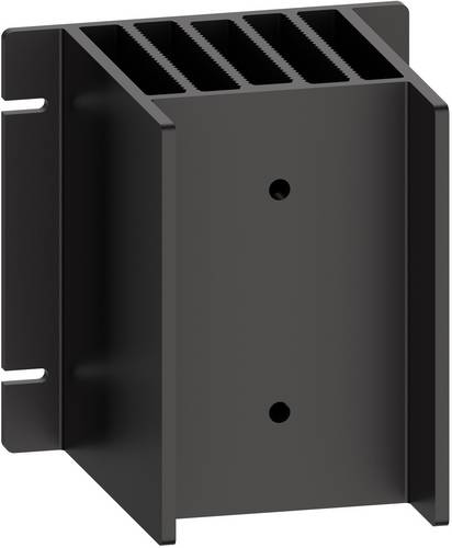 Schneider Electric SSP1HP07 Kühlkörper 1 St.