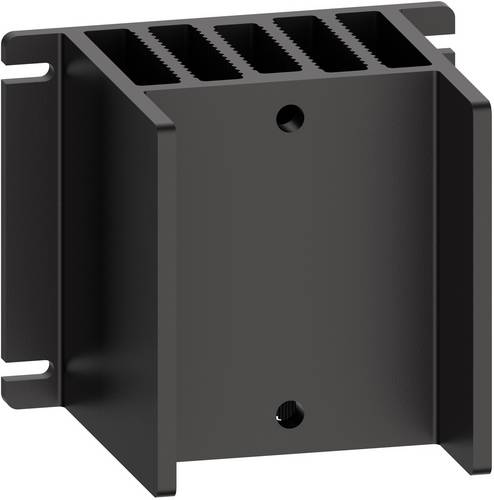 Schneider Electric SSP1HP08 Kühlkörper 1 St.