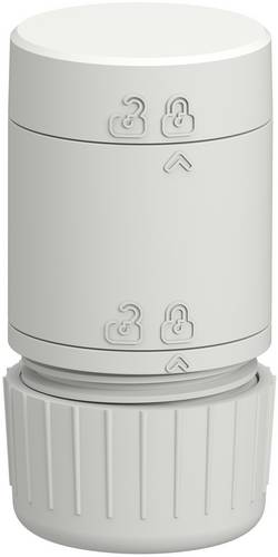 Schneider Electric Signalleuchte XV4C21BT 1 St.