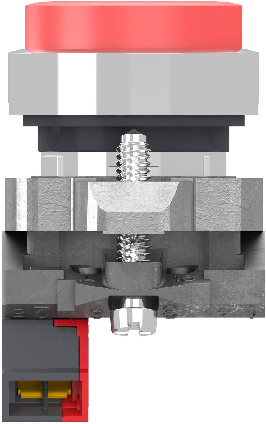 Querschnitt eines industriellen Druckschalters mit dem roten Betätigungselement, inneren Feder- und Kontaktmechanismus sowie Anschlussverbindung an der Basis.