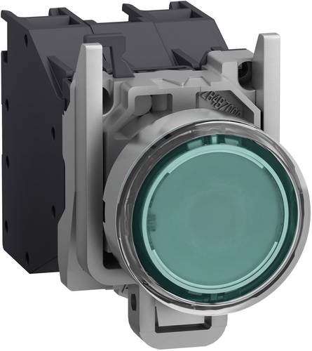 Schneider Electric XB4BP383BM5GEX Leuchtdrucktaster, Harmony XB4 ATEX D, Metall, 22mm, grün, 4-254V