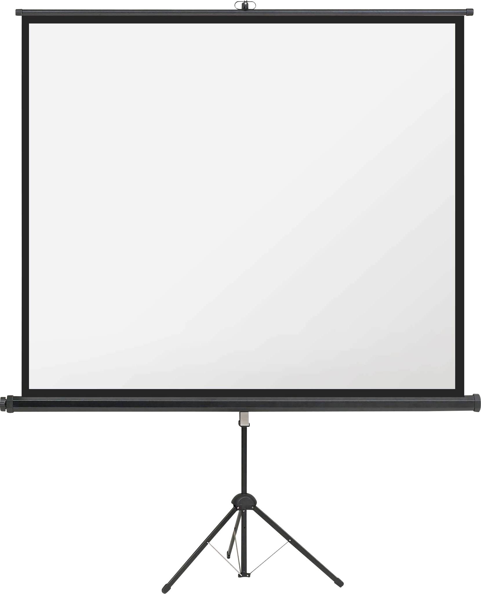 Tragbare weiße Projektionsleinwand auf einem Stativständer, vollständig ausgefahren und bereit für Präsentationen.