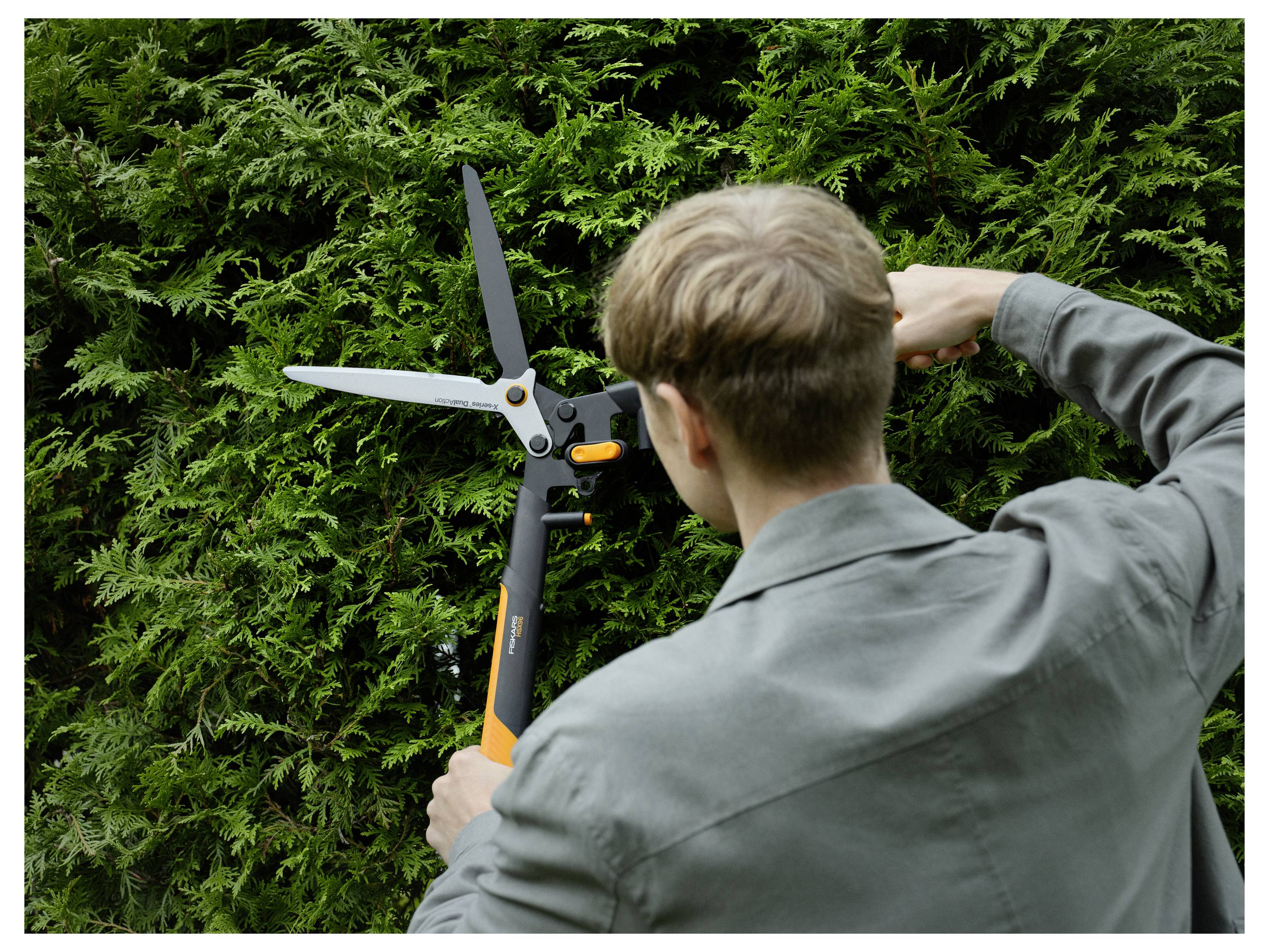 Eine Person schneidet eine dichte grüne Hecke mit langstieligen Heckenscheren, von hinten betrachtet.