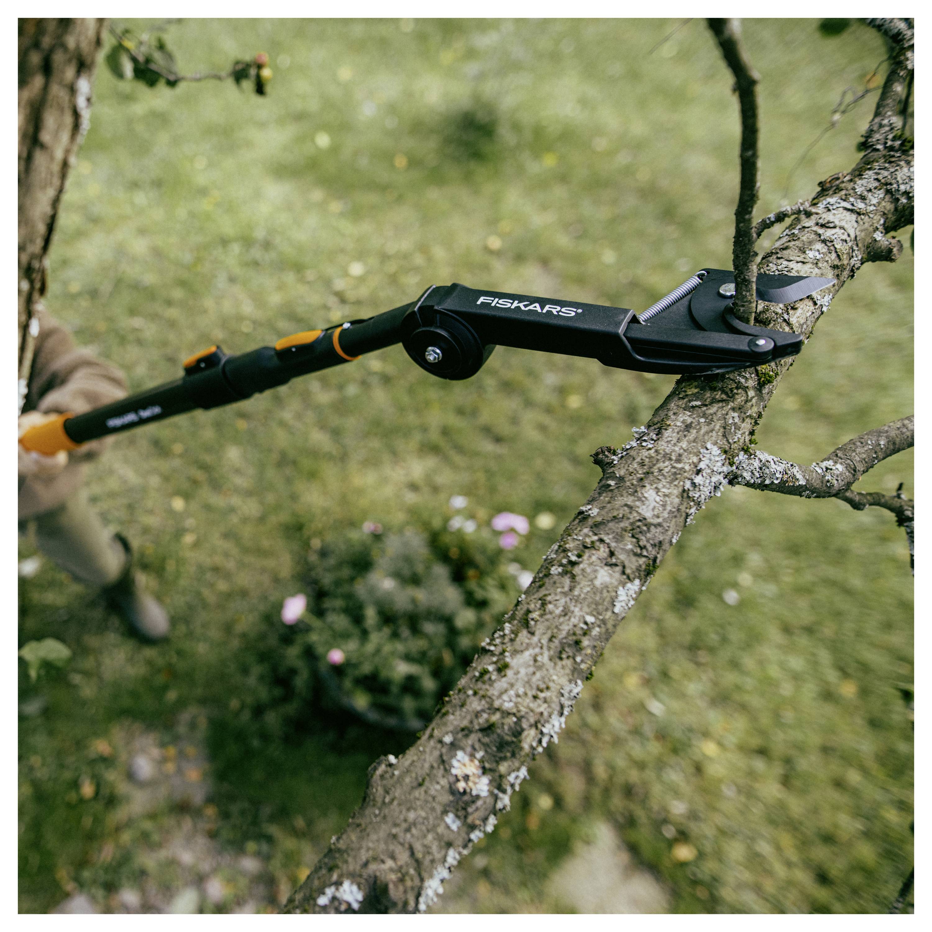 Fiskars-Hochentaster schneidet einen Baumast in einem Garten ab, wobei das Werkzeug um den Ast geklemmt ist.