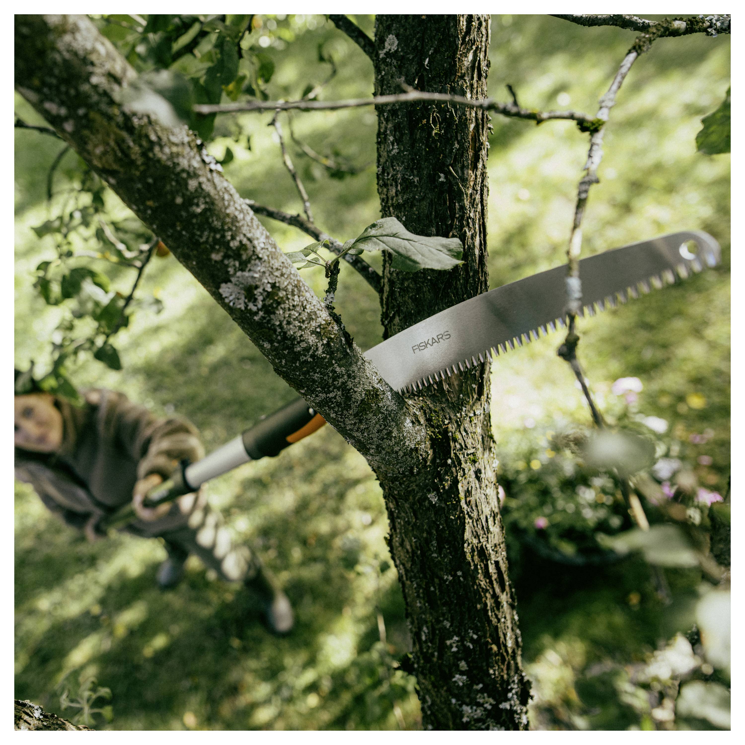 Person, die einen Baum mit einer Handsäge beschneidet, einen Ast im Freien in einem Garten abschneidet.