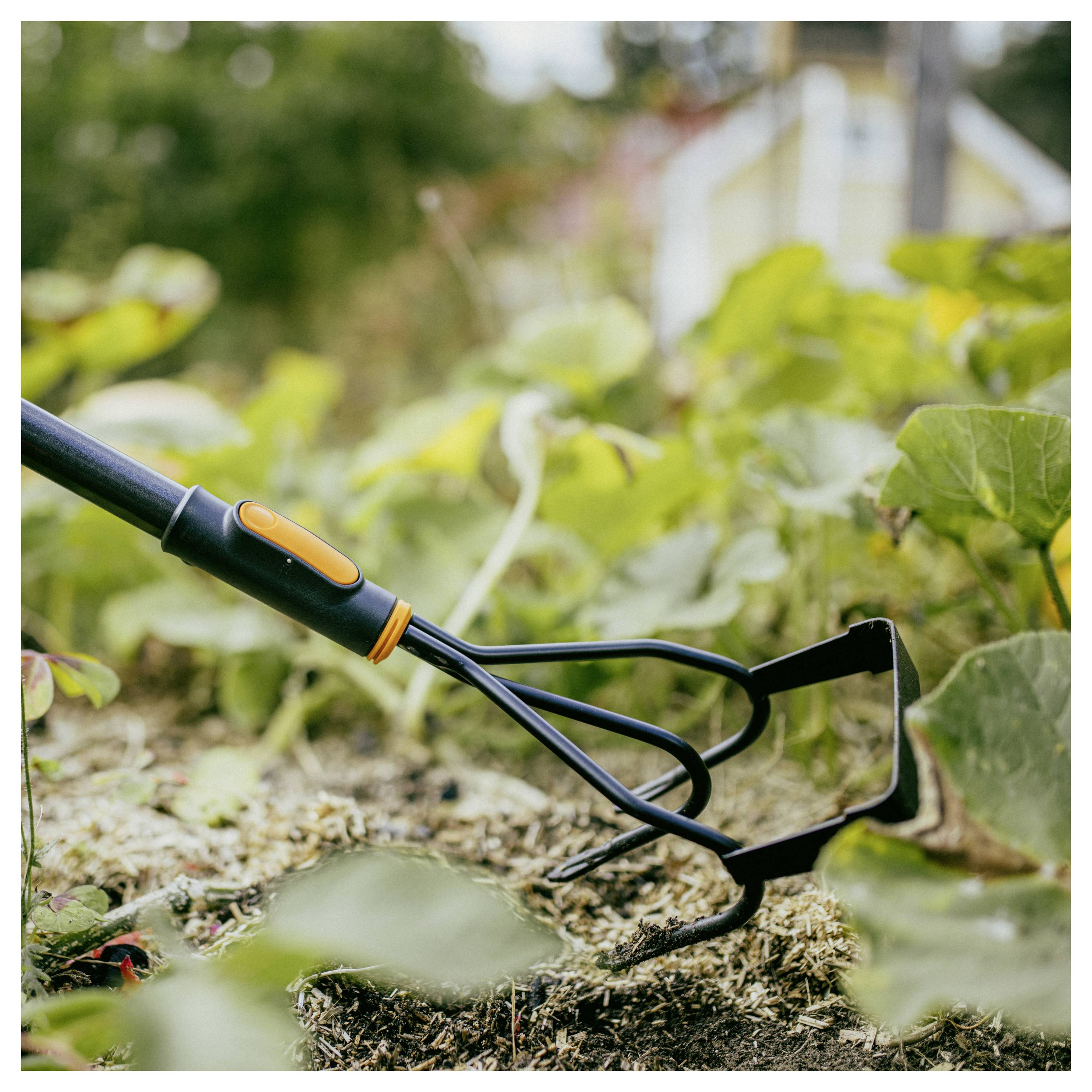 Gartenhandkultivatoren ruhen in der Erde zwischen blattreichen Pflanzen in einem Gemüsebeet.