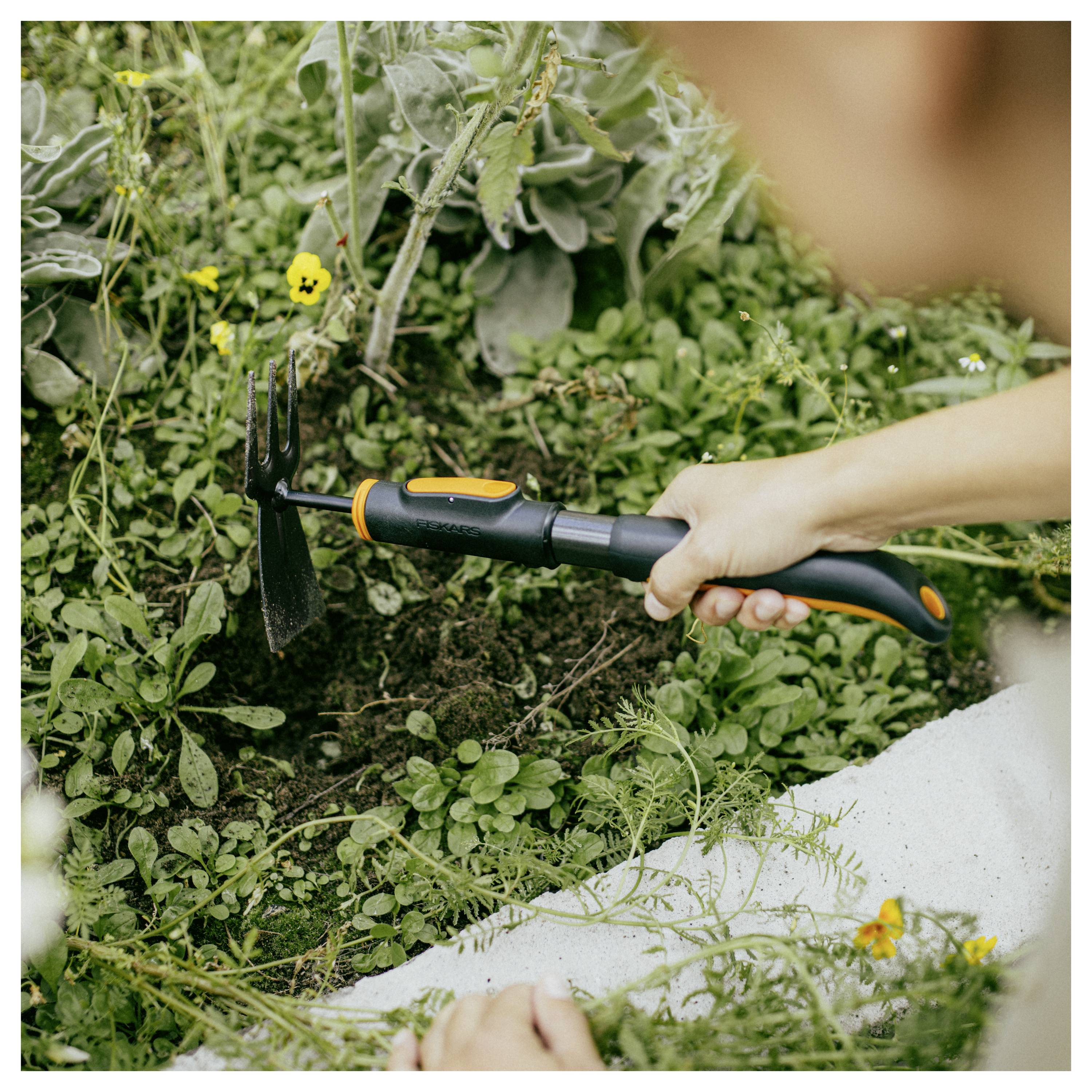 Hand benutzt eine Gartennahrkl zum Lockern von Boden und zum Entfernen von Unkraut zwischen dichten grünen Pflanzen in einem Gartenbeet.