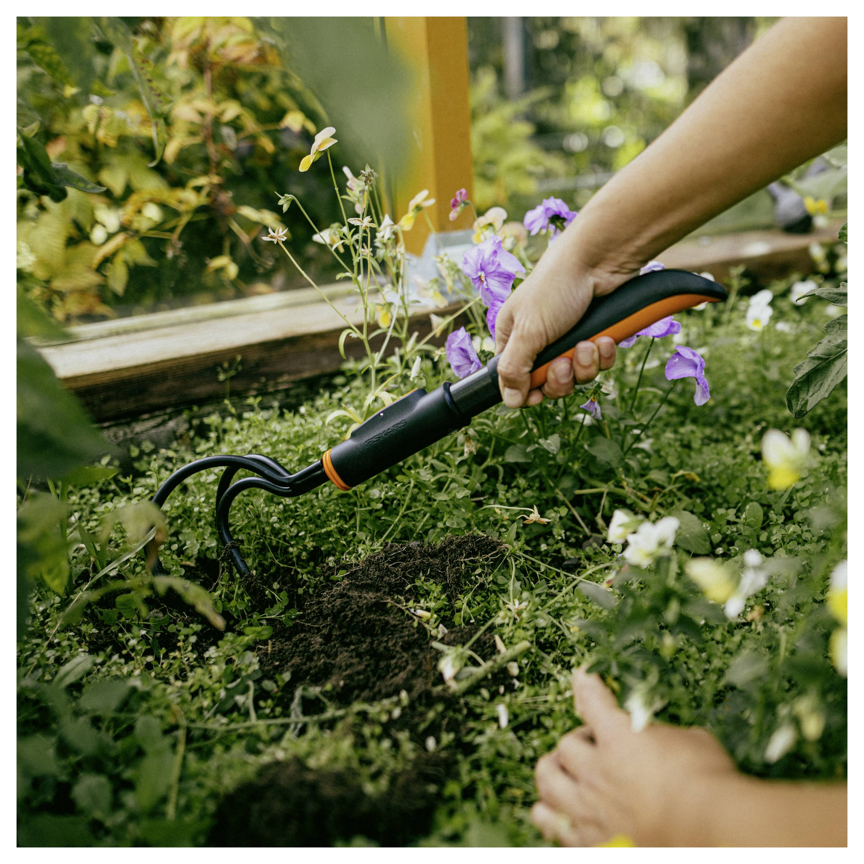 Eine Person, die einen Handkultivator verwendet, um Unkraut zu jäten und die Erde in einem Gartenbeet zwischen Blumen und Grünpflanzen zu lockern.